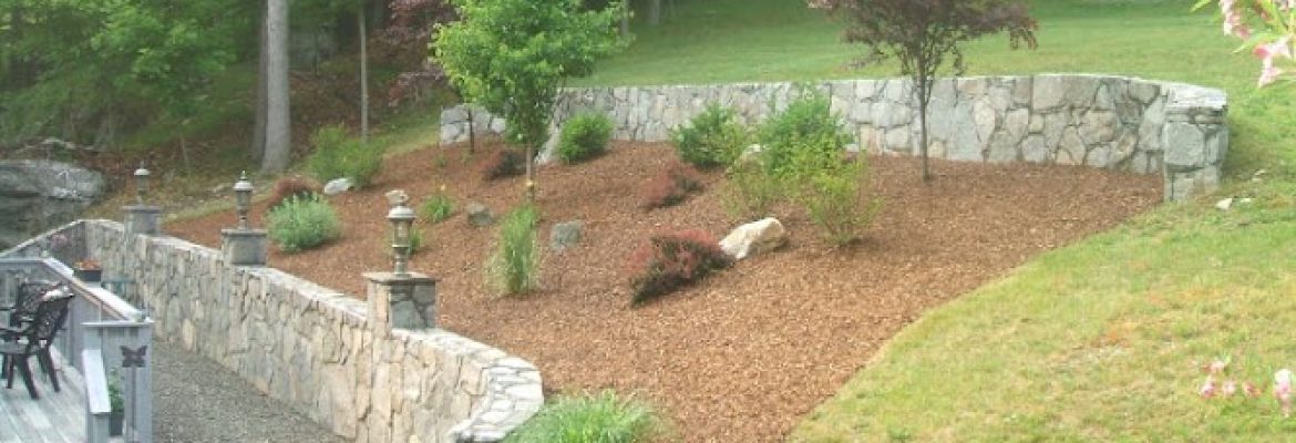 Red Carpet Landscaping