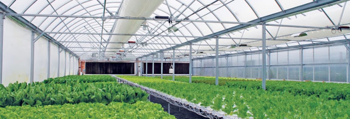 Growers Supply