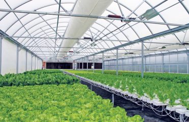 Growers Supply