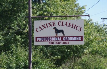 Canine Classics