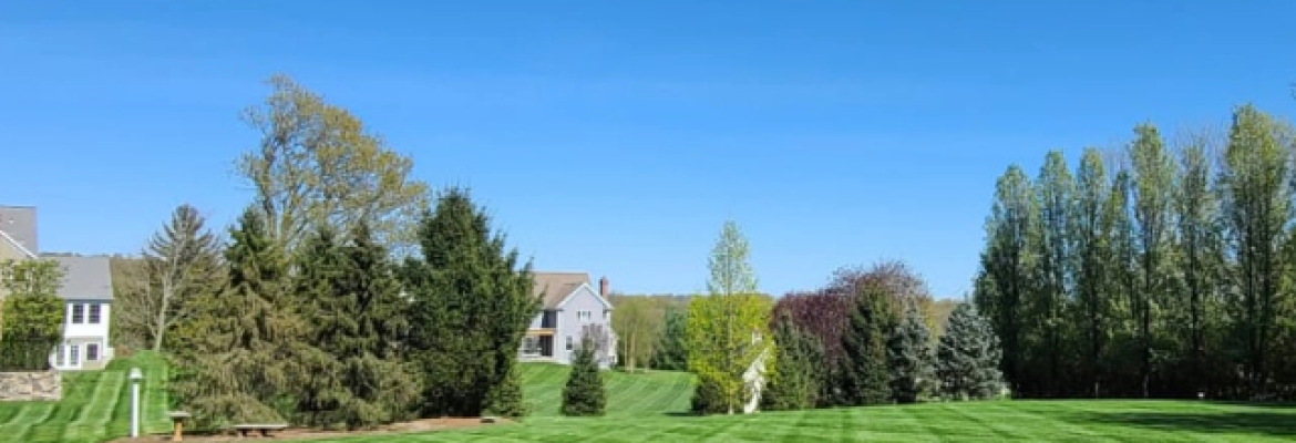 Supreme Green Landscaping