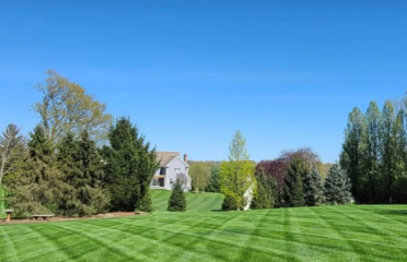 Supreme Green Landscaping