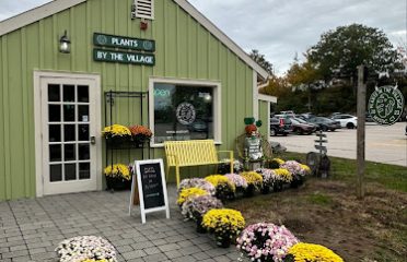 Plants by the Village