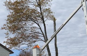 GM 2 Tree Services