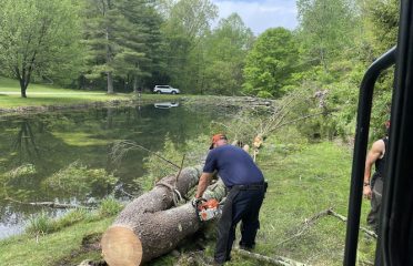 Southbury Tree Pros