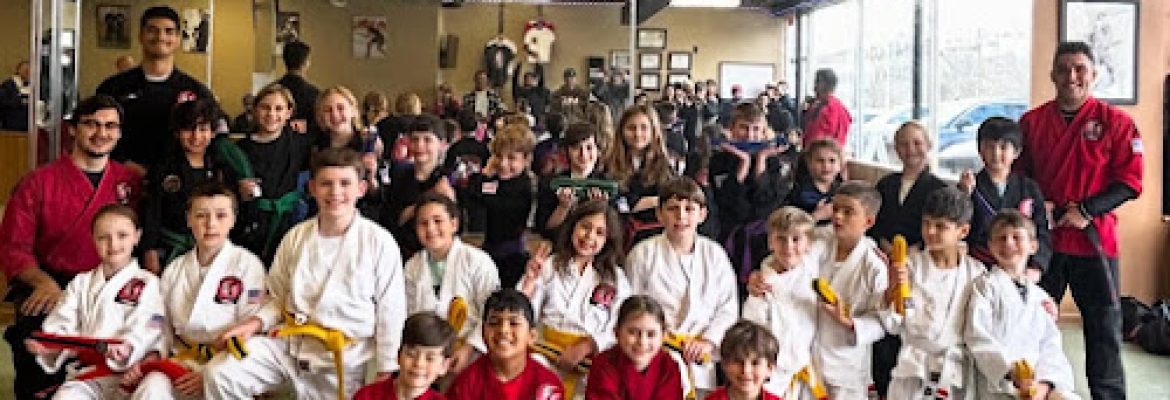 The Dojo Westports Karate School