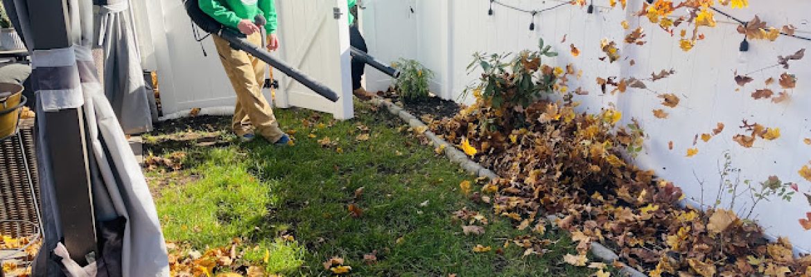 Hands on Landscaping