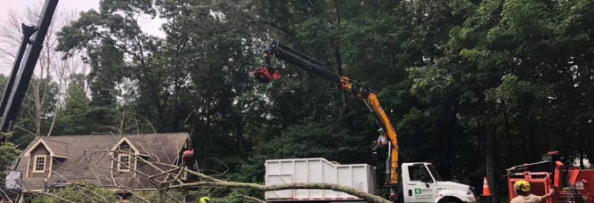 Barts Tree Service