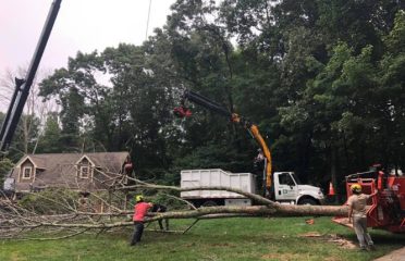 Barts Tree Service