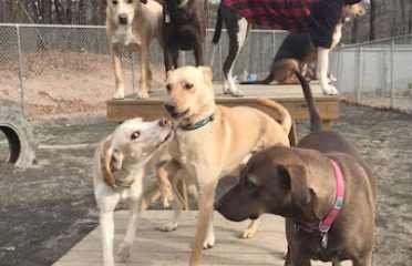 Roaring Brook Kennels