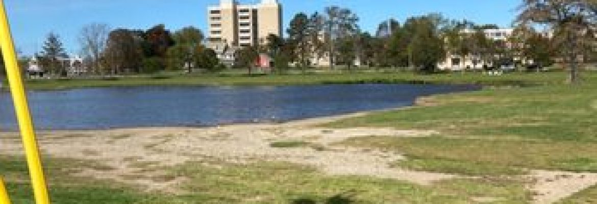 Success Park