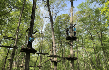 TreeTrails Adventures Mystic