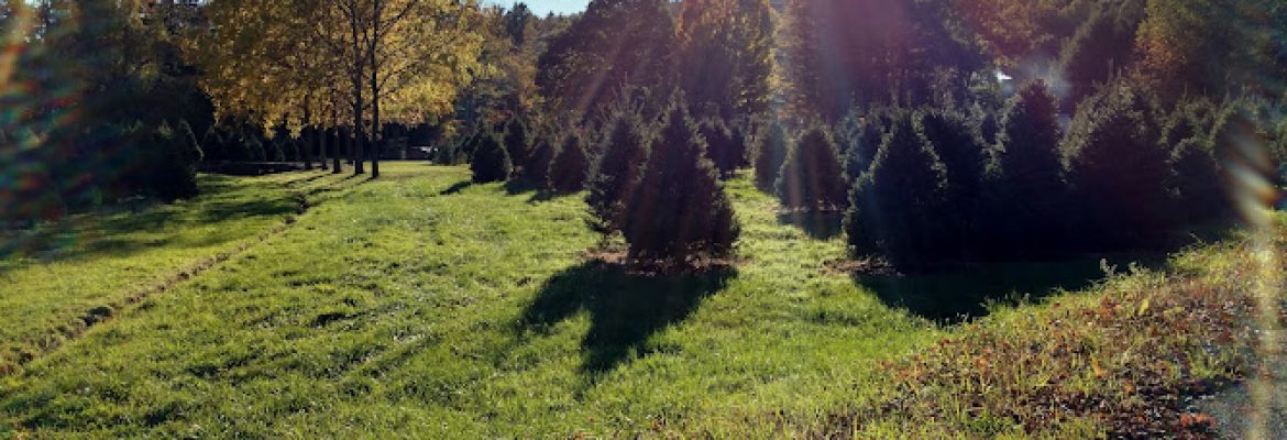 Hansen Family Tree Farm LLC