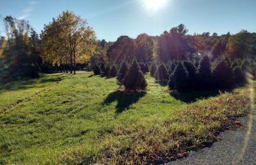 Hansen Family Tree Farm LLC