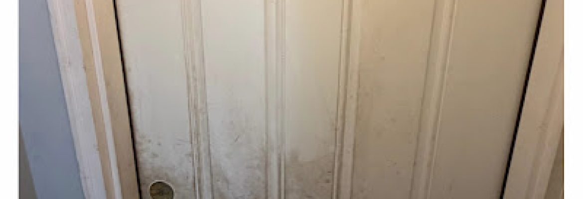 Diamond House Cleaning