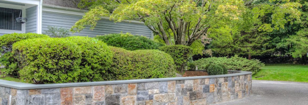 Davida Landscape Designs LLC