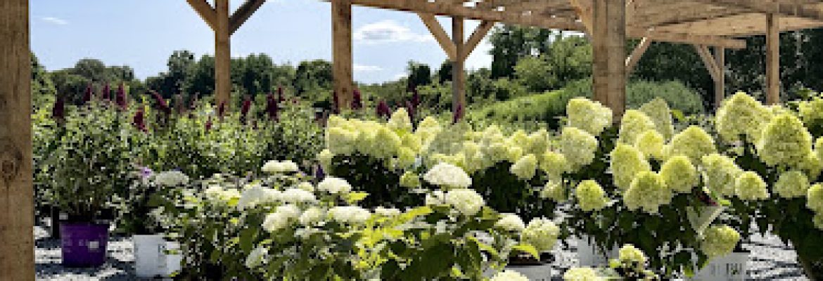 Comer Nursery LLC