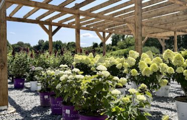 Comer Nursery LLC