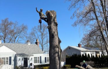 OAK LANDSCAPING & TREE SERVICES