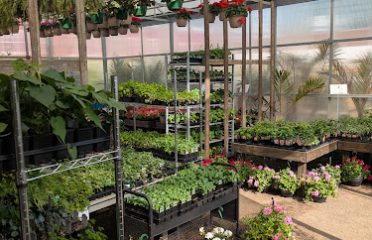 Old Saybrook Garden Center