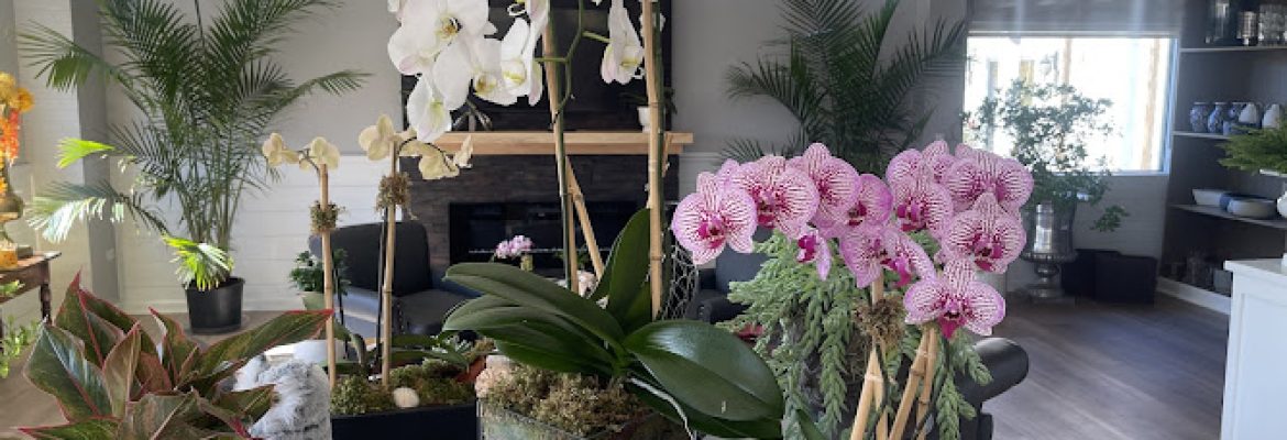 Verdant Floral Studio, LLC