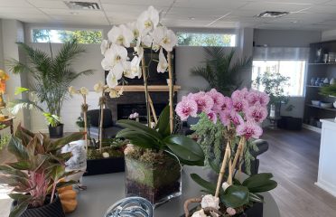 Verdant Floral Studio, LLC