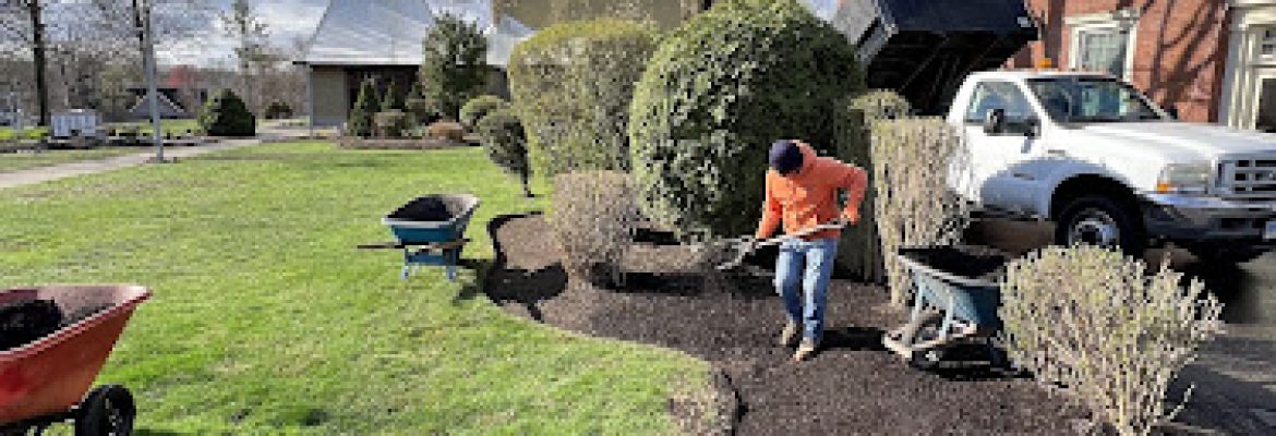 Smiley Landscaping LLC