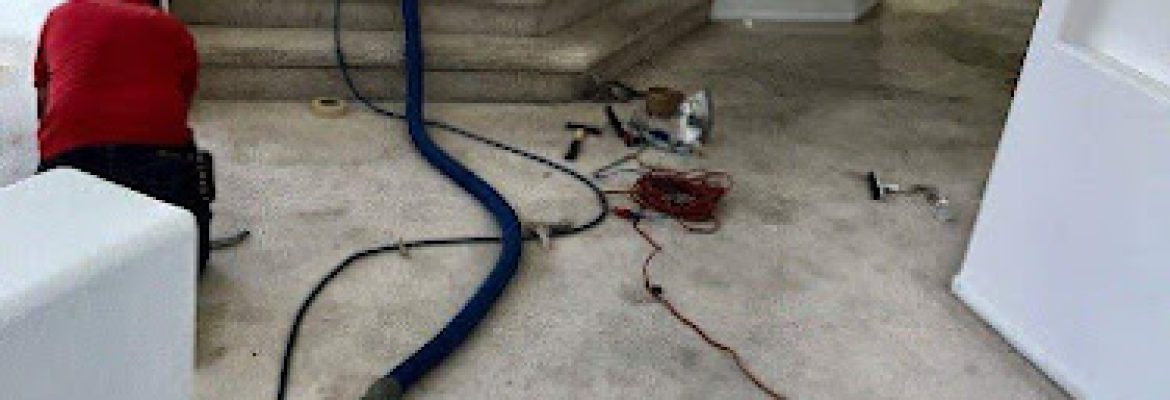 Get Green Carpet Cleaning – Hartford CT