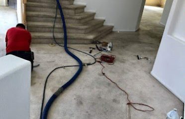Get Green Carpet Cleaning – Hartford CT