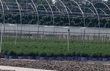 Kurtz Farms