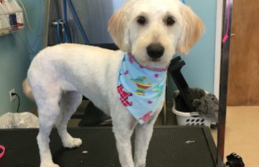 LovingTouchDogGrooming
