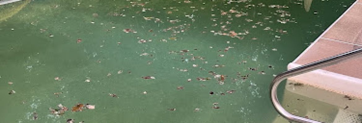 Hydrocare Pools & Spas