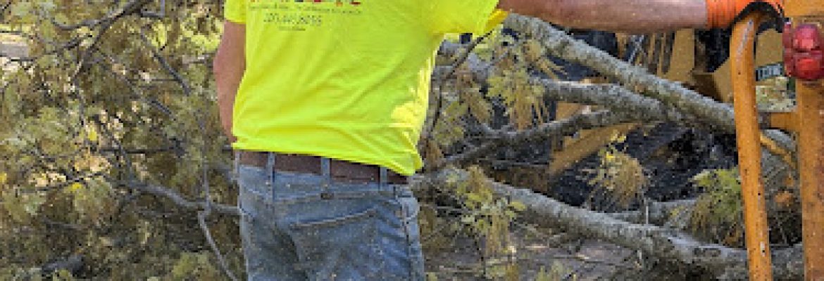 Acer Tree Service LLC