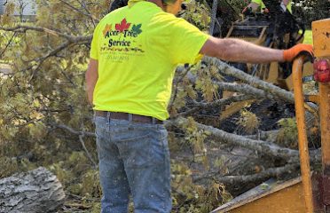 Acer Tree Service LLC