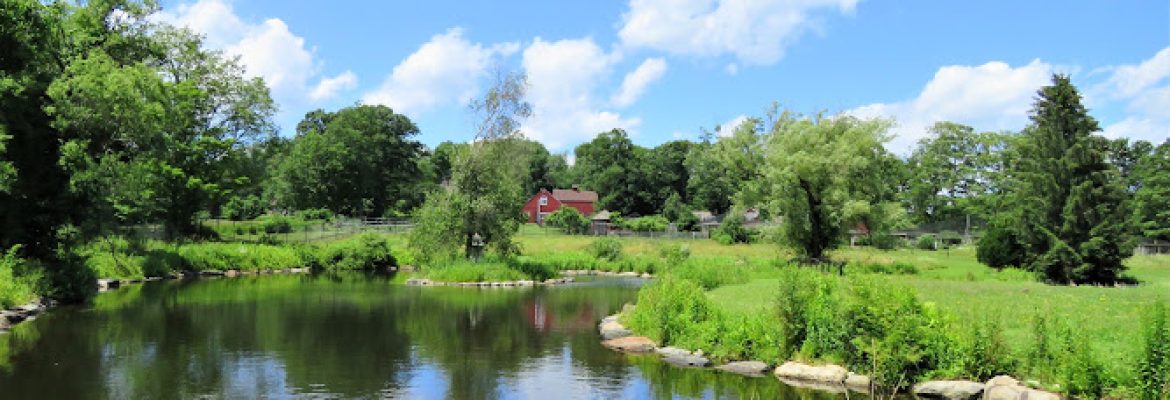 Ripley Waterfowl Conservancy