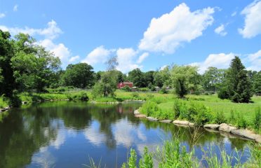 Ripley Waterfowl Conservancy