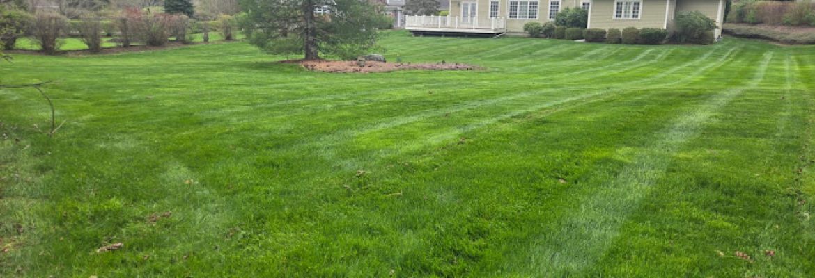 Sarmiento’s Lawncare