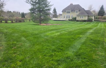 Sarmiento’s Lawncare