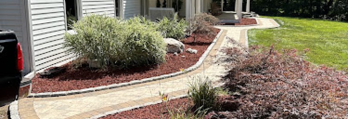 Blue Spruce Tree Service and Landscaping