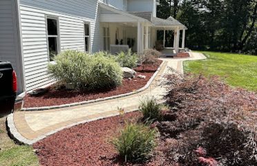 Blue Spruce Tree Service and Landscaping