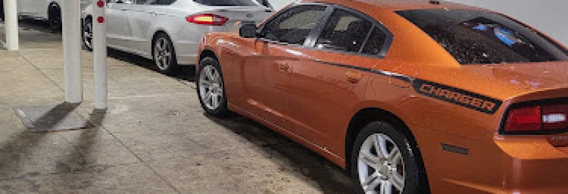 WORLDS BEST TiNTiNG