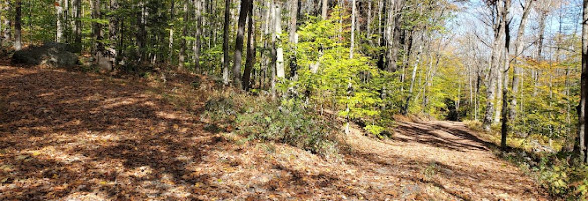 Tunxis Wildlife Management Area