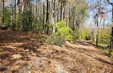 Tunxis Wildlife Management Area