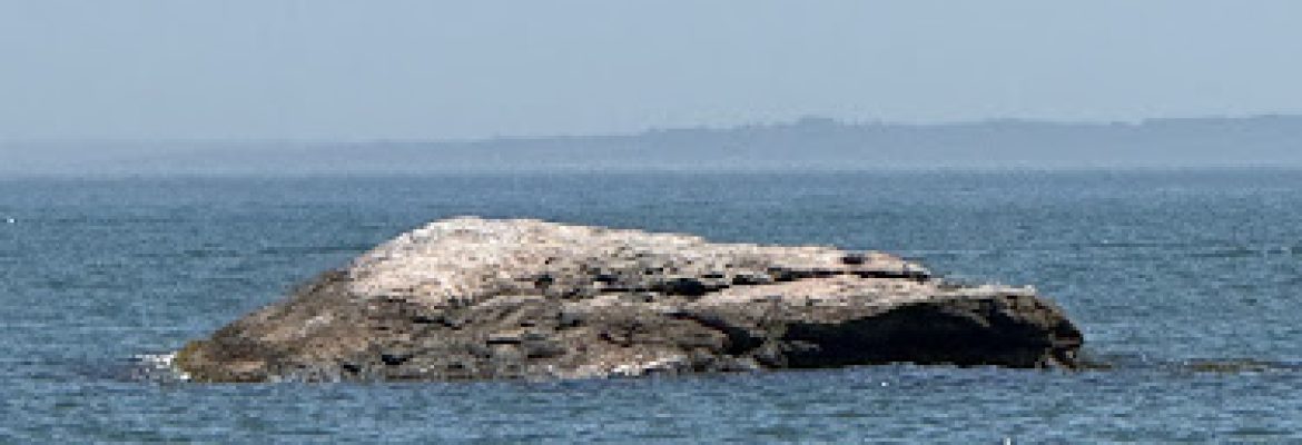 Cool rock
