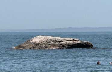 Cool rock