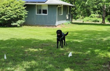 Pet Stop Dog Fence