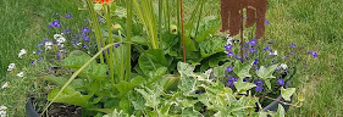 Rustica Ornamentals