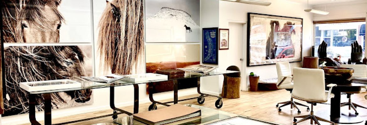IAMWILD ART GALLERY