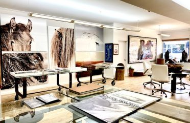 IAMWILD ART GALLERY