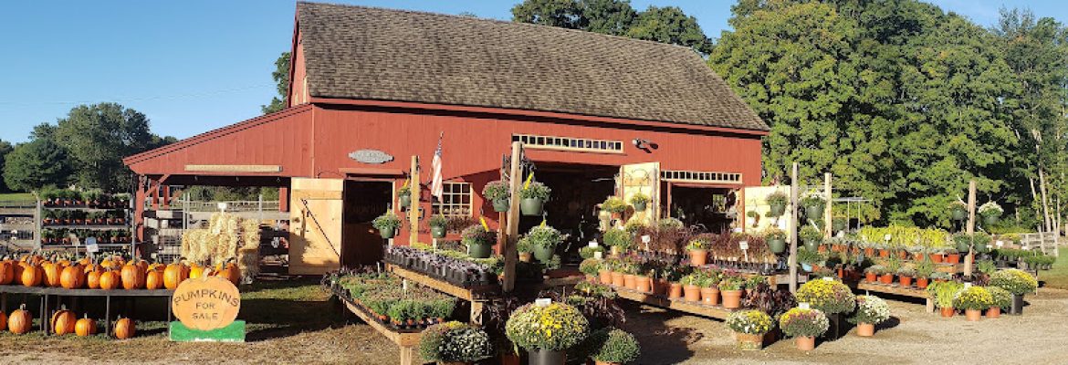 Foster Hill Farm